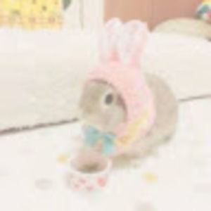 Meet your Posher, Tee